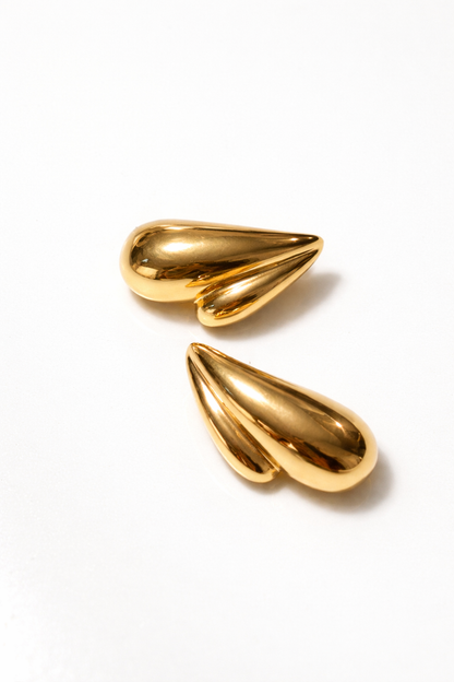 "Shared secret" Earrings
