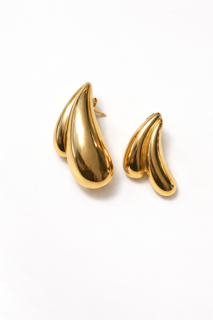 "Shared secret" Earrings