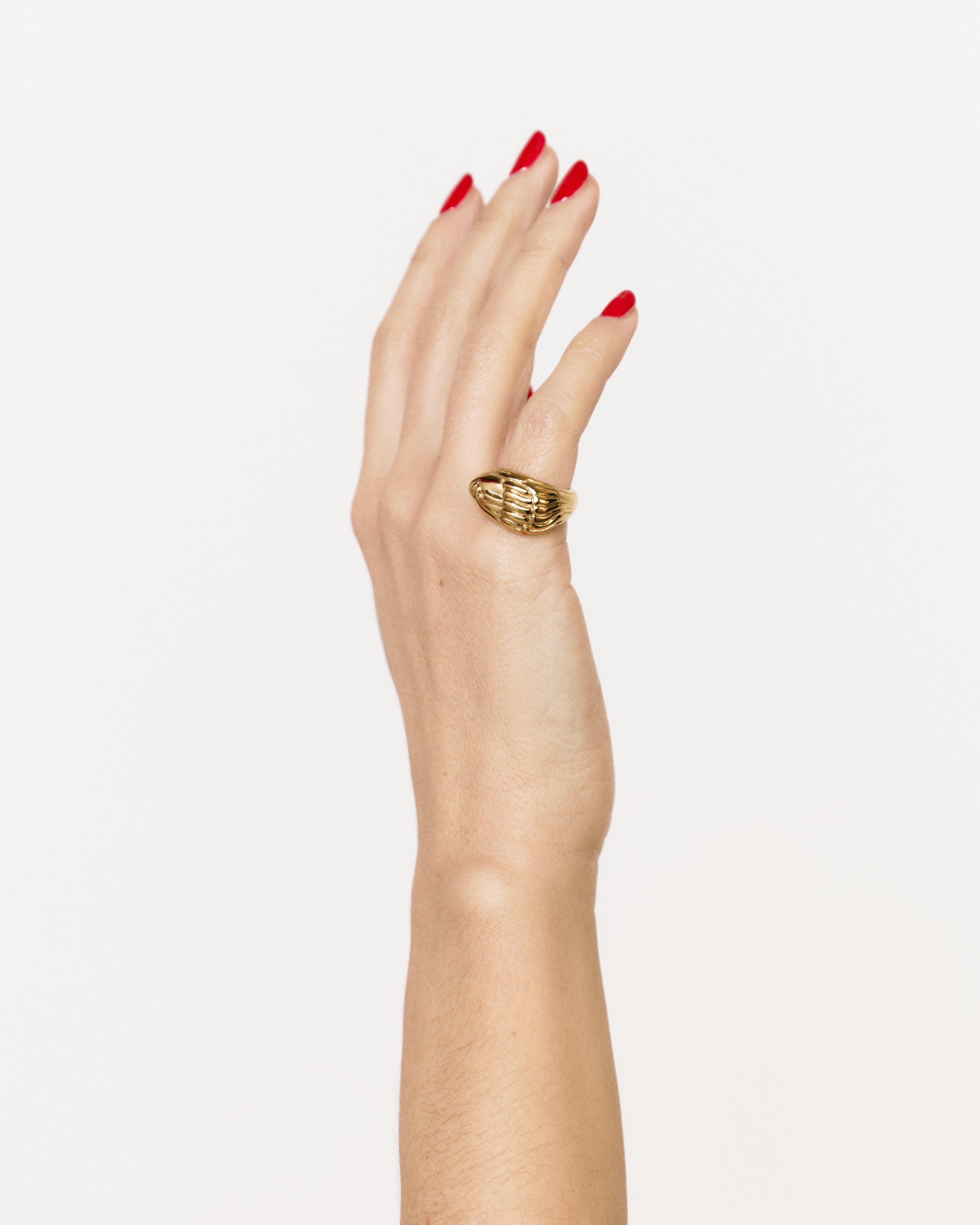 Anello "Radice"