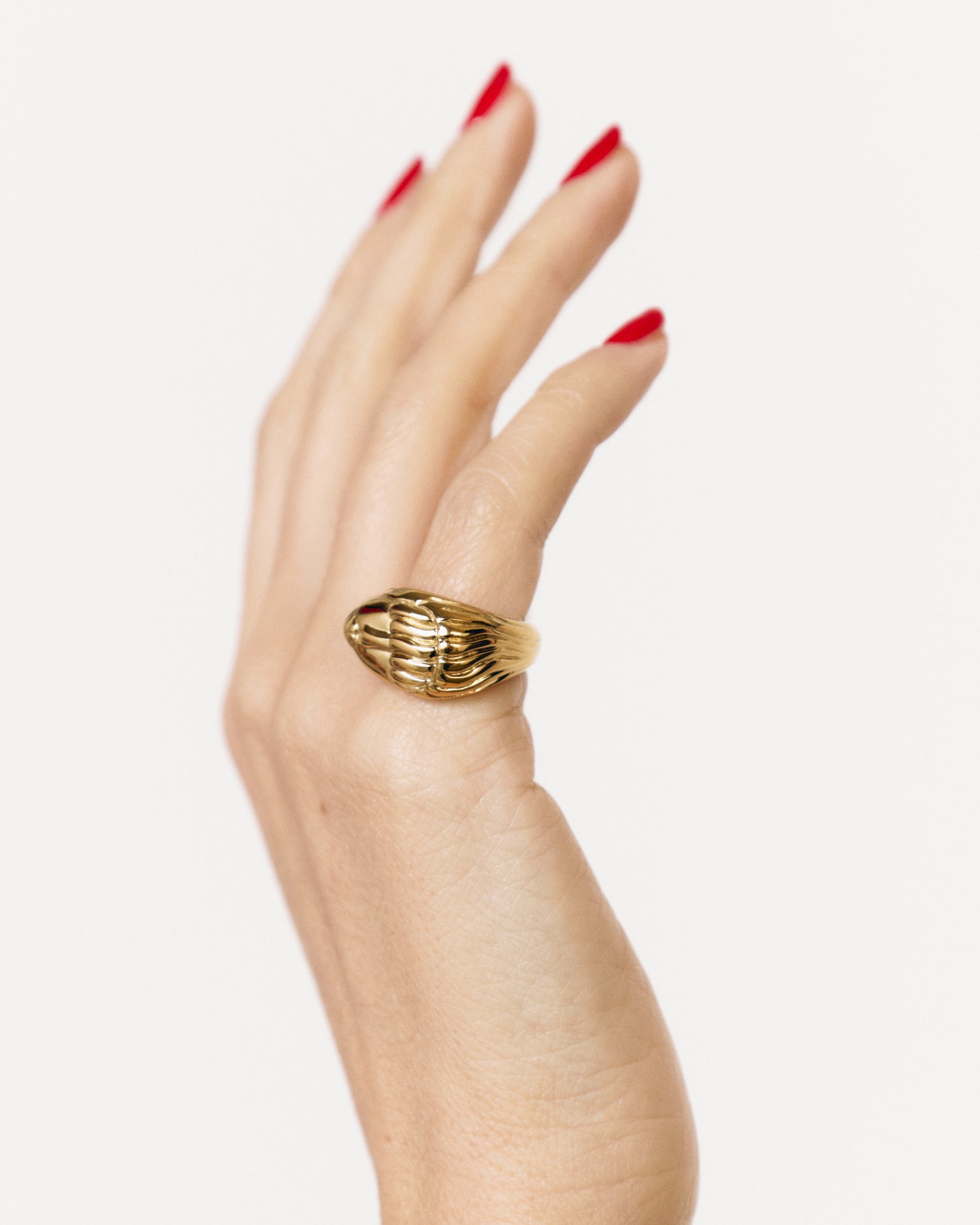 Anello "Radice"