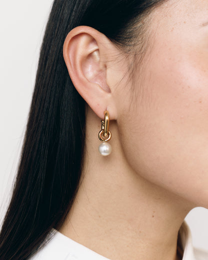 "Shared dream" Earrings
