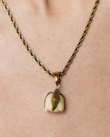 Collana "Proteggimi sempre"